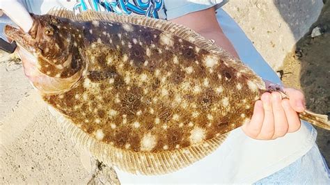 catching flounder from shore in washington.